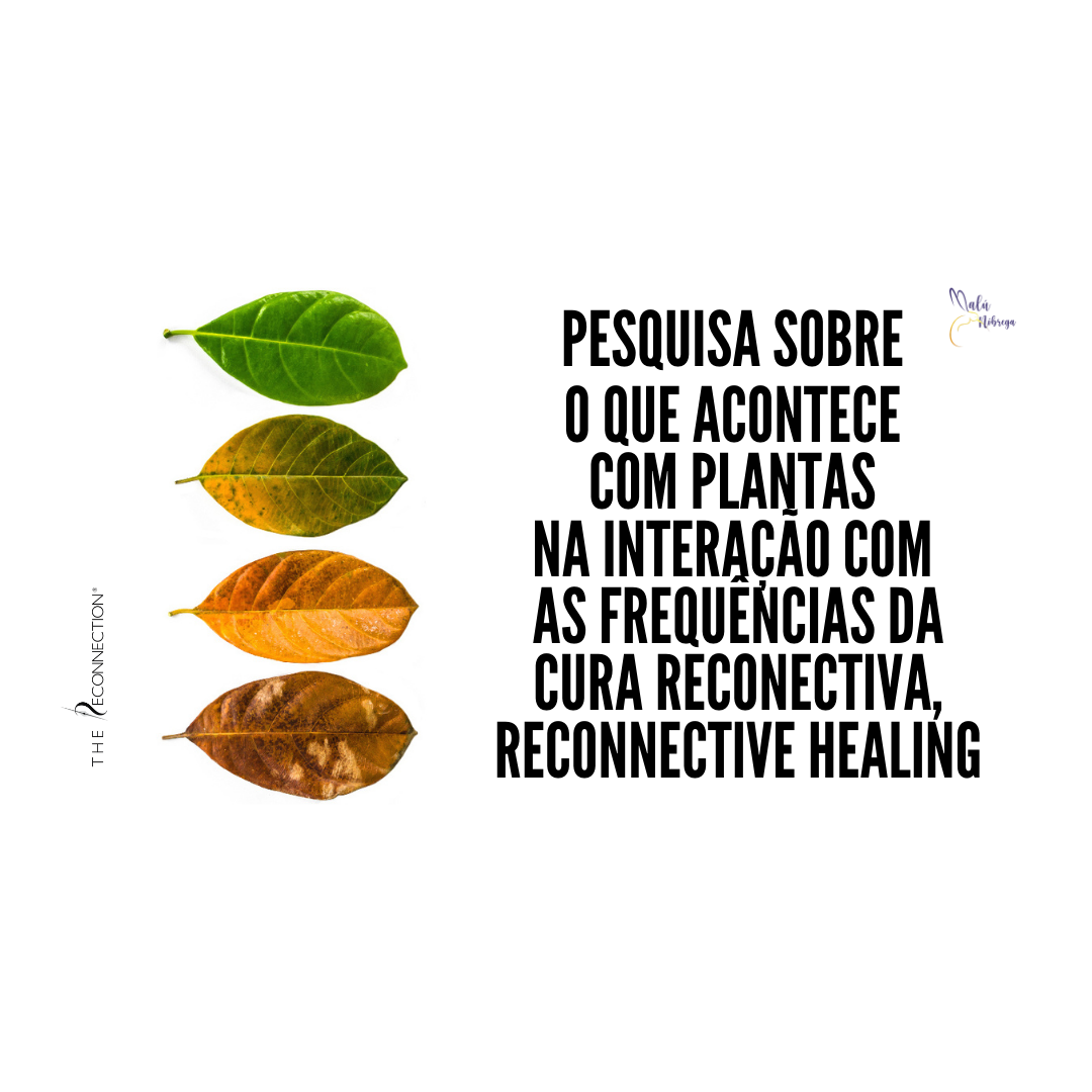 Plantas na interação com as frequências da Cura Reconectiva®